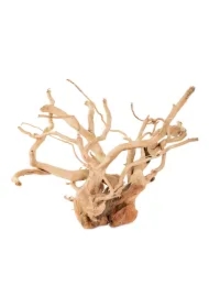 Gałąź drewniana Lelei do 200 cm