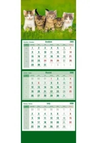 Kalendarz trójdzielny 2026 Koty