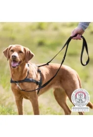 LeadnWalk Soft Szelki, S&ndash;M: 45&ndash;70 cm/25 mm, czarne