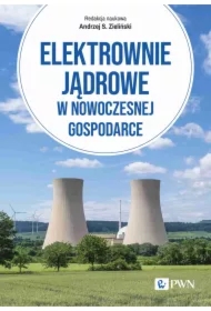 Elektrownie jądrowe w nowoczesnej gospodarce