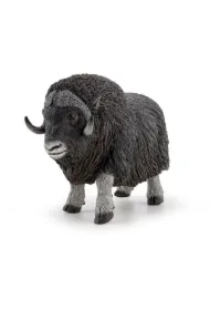 Piżmowół arktyczny