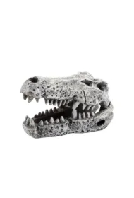 Dekoracja akwarystyczna Czaszka krokodyla 6cm