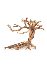 Tonące drzewo Bonsai nr 14 40 x 30