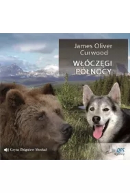 Włóczęgi Północy