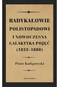 Radykałowie polistopadowi i nowoczesna galaktyka pojęć (1832-1888)