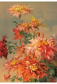 Karnet ST493 B6 + koperta Pomarańczowa dalia