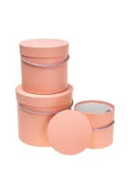 Pudełko Flower Box 3 szt brzoskwiniowy