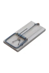 Myszołapka drewniana