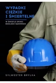 WYPADKI PRZY PRACY