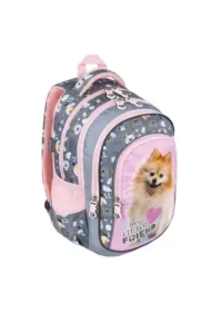 Plecak 4-komorowy Sweet Pomeranian