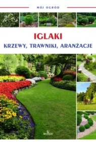Mój ogród Iglaki krzewy drzewa trawy
