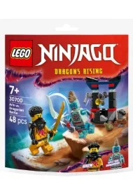 LEGO Ninjago Bitwa Arina z Dragonem 30700