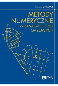 Metody numeryczne w symulacji sieci gazowych