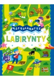Mózgołamacze. Labirynty