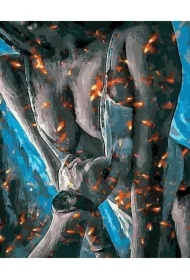 Malowanie po numerach czarne płótno - W Ogniu...