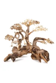 Tonące drzewo Bonsai nr 59 60 x 40