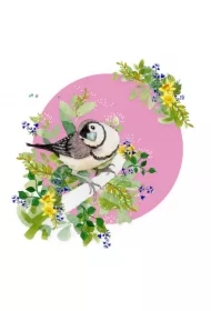 Karnet Swarovski kwadrat Ptaszek CL2010