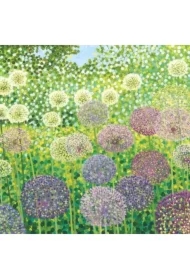 Karnet z kopertą Czosnek Globemaster