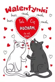 Karnet B6 Walentynki - Koty z magnesem na lodówkę
