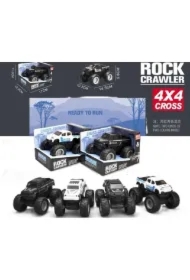 Pickup policyjny MIX