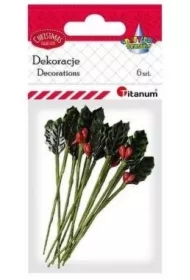 Gałązki ostrokrzewu