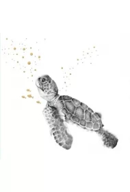 Karnet złocony kwadrat CL3823_BL Pływający żółw