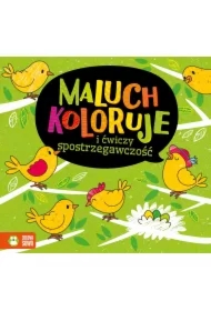 Maluch koloruje i ćwiczy spostrzegawczość