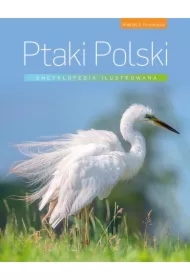 Encyklopedia ilustrowana. Ptaki Polski