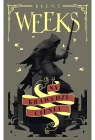 Na krawędzi Cienia. Anioł Nocy. Tom 2