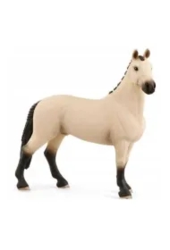 Koń Wałach rasy Hanoverian Red Dun