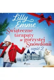 Świąteczne tarapaty w górzystej Snowdonii - część 2