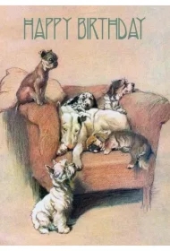 Karnet B6 z kopertą Urodziny Psy na fotelu