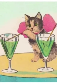 Karnet B6 z kopertą Kot i drinki