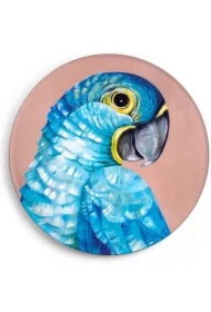 Magnes Modroara hiacyntowa