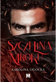 Szczelina mroku. Historia Naridy. Tom 2