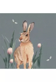 Karnet Swarovski kwadrat CL4701 Zając