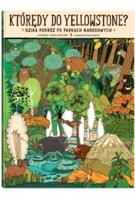 Którędy do Yellowstone? Dzika podróż po parkach narodowych