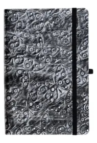 Kalendarz 2026 A5 dzienny Jazz motyl-srebrny