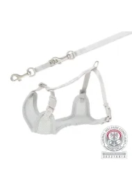 Miękkie szelki dla szczeniąt ze smyczą Junior, 26&ndash;34 cm/10 mm, 2.00 m, jasnoszare