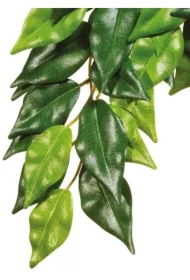 Roślina sztuczna &ndash; Silk Ficus, S