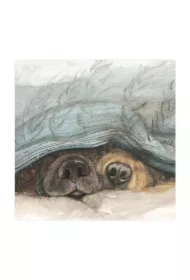 Magnes FM210 Noski psów