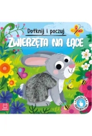 Dotknij i poczuj. Zwierzęta na łące.