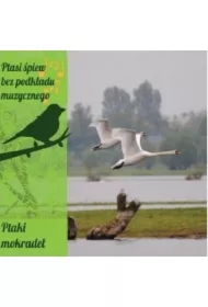 Ptasi śpiew bez podkładu muz. Ptaki mokradeł CD