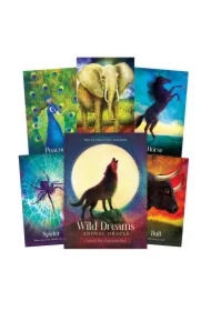 Wild Dreams, karty do wróżenia