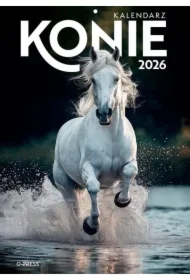 Kalendarz 2026 A4 wieloplanszowy Konie