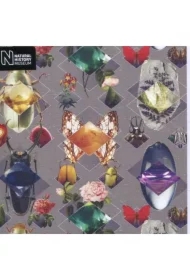 Karnet kwadrat z kopertą Beetles and Jewels