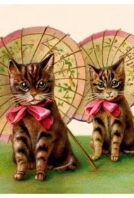 Karnet B6 z kopertą Kotki z parasolkami