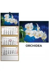 Kalendarz 2026 trójdzielny orchidea