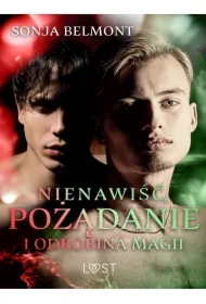 Nienawiść, pożądanie i odrobina magii: 3 opowiadania erotyczne inspirowane dynamiką Harry Potter/Draco Malfoy