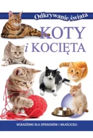 Odkrywanie świata. Koty i kocięta